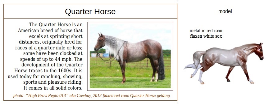 Vals metallic red roan