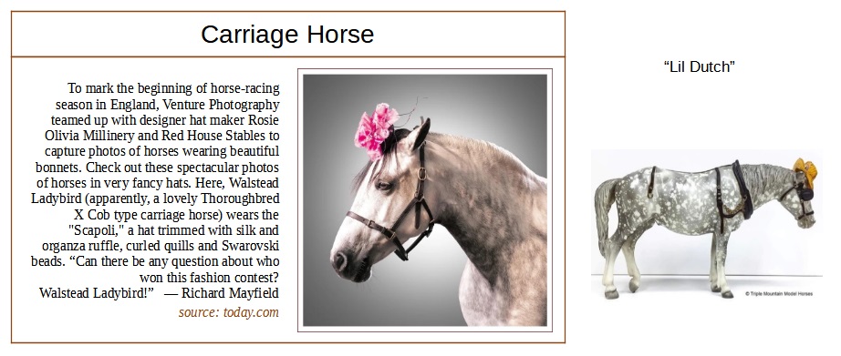 breed card for collectible carriage horse