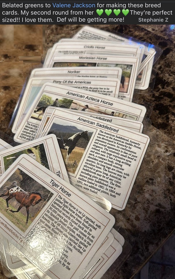 review show cards Stephanie